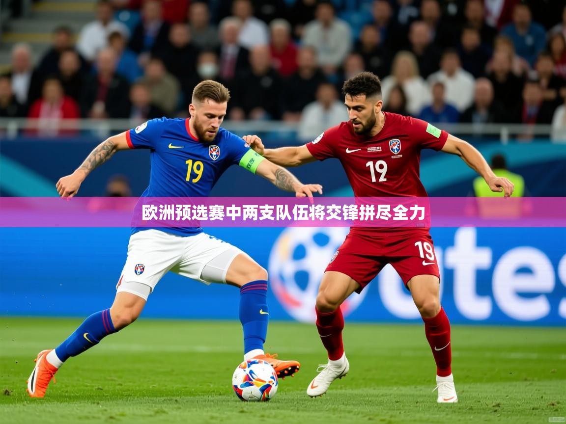 欧洲预选赛中两支队伍将交锋拼尽全力 第2张
