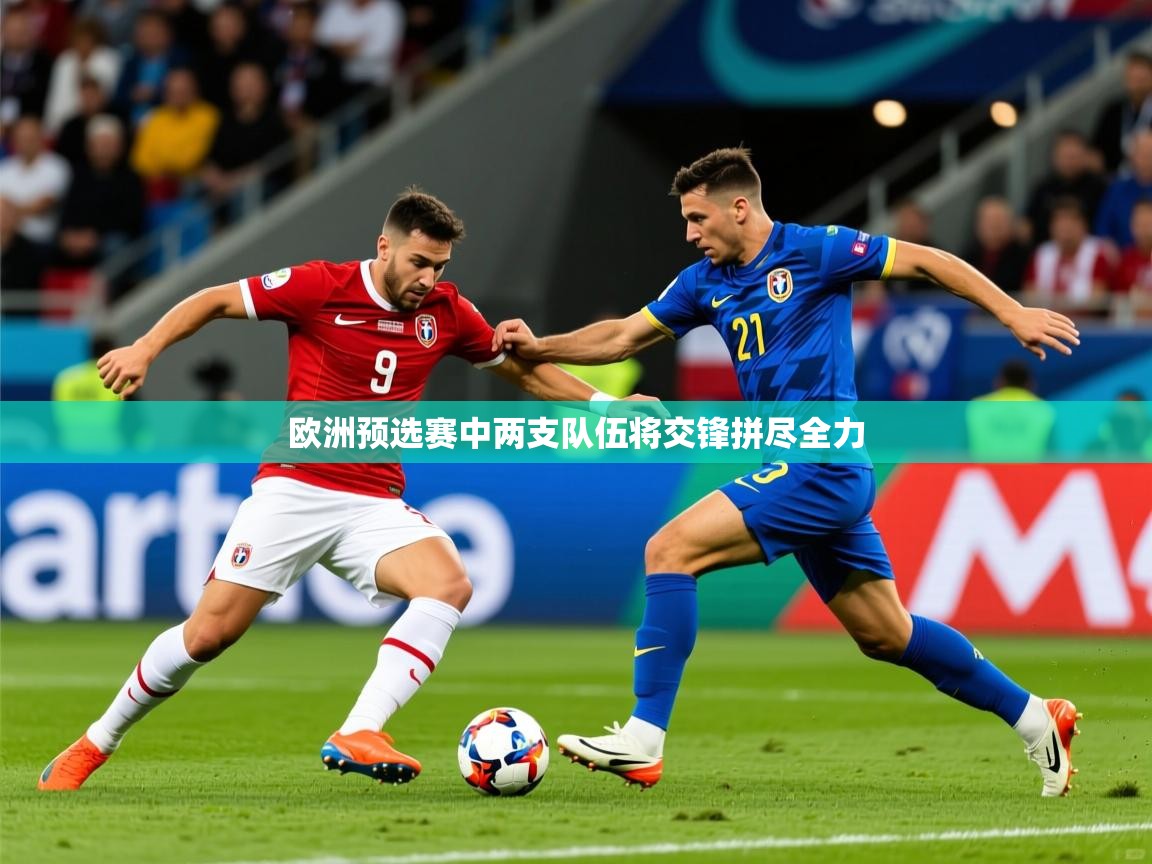 欧洲预选赛中两支队伍将交锋拼尽全力 第4张