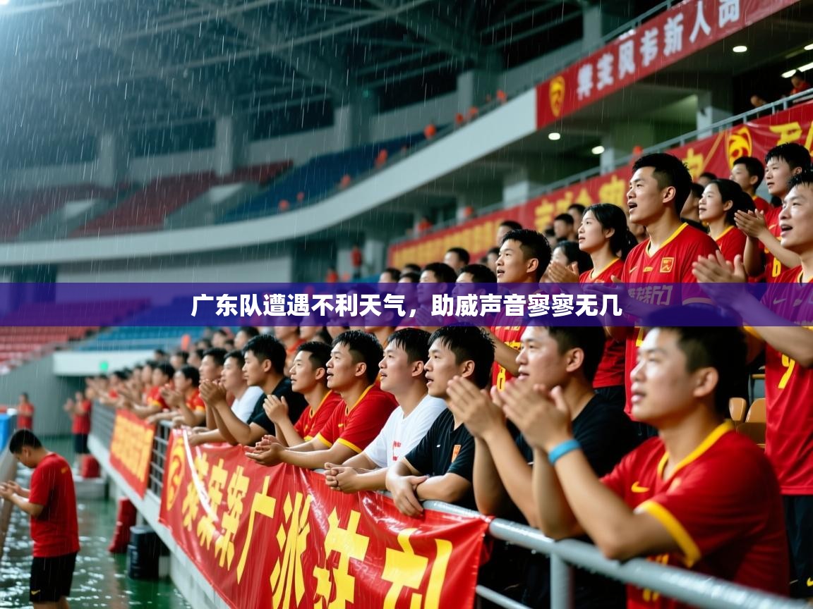 广东队遭遇不利天气,助威声音寥寥无几 第4张
