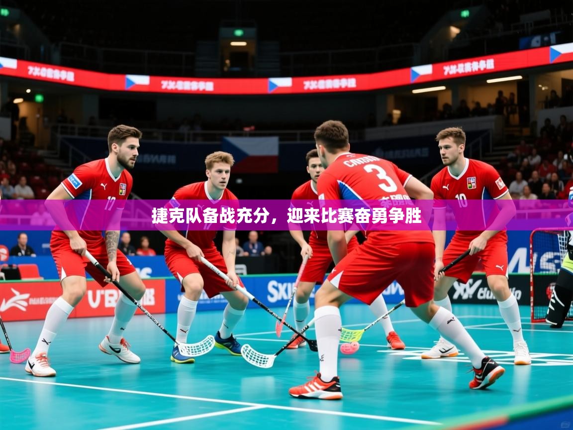 捷克队备战充分，迎来比赛奋勇争胜  第2张