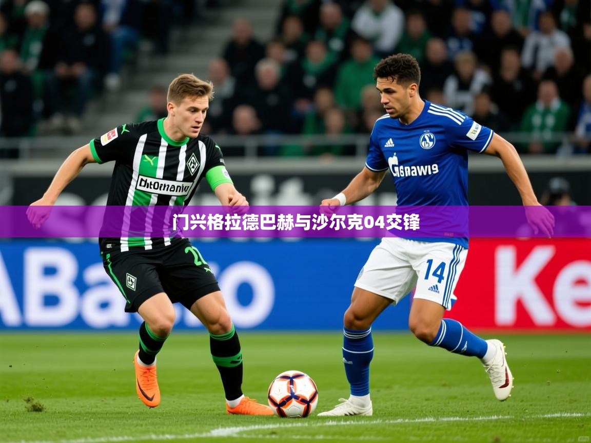 门兴格拉德巴赫与沙尔克04交锋  第1张