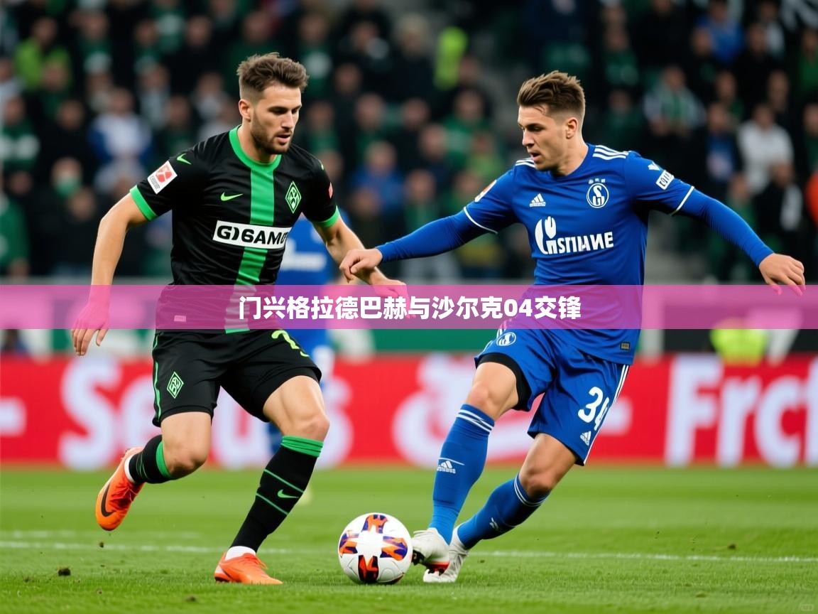 门兴格拉德巴赫与沙尔克04交锋  第2张
