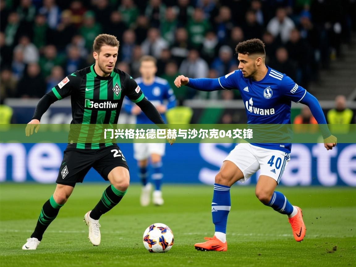门兴格拉德巴赫与沙尔克04交锋  第4张
