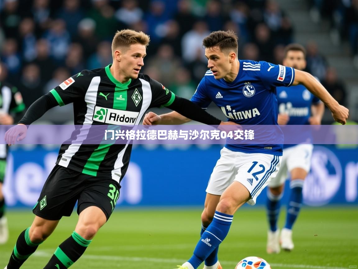 门兴格拉德巴赫与沙尔克04交锋  第3张