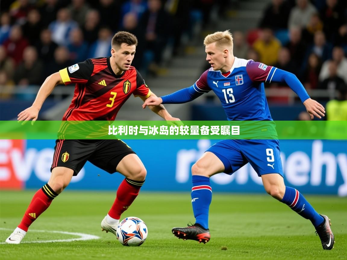 比利时与冰岛的较量备受瞩目  第3张