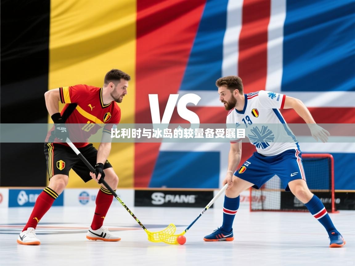 比利时与冰岛的较量备受瞩目  第2张