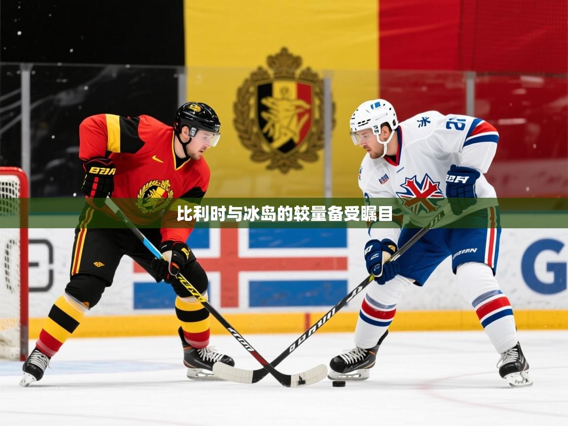 比利时与冰岛的较量备受瞩目  第4张